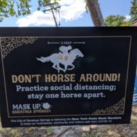 Don't Horse Around Saratoga Springs
